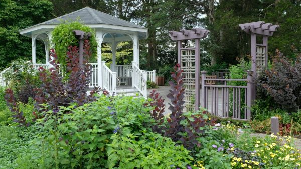 Top landscaping ideas to transform your Stroud outdoor area